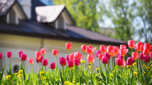 spring real estate